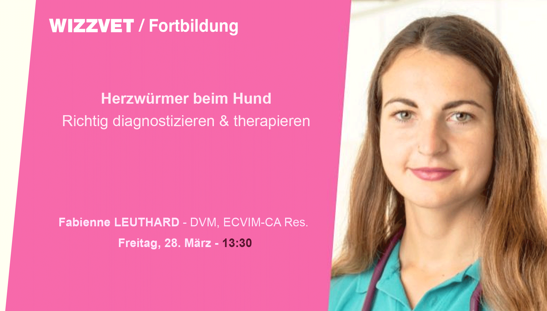 Herzwürmer beim Hund - richtig diagnostizieren und therapieren