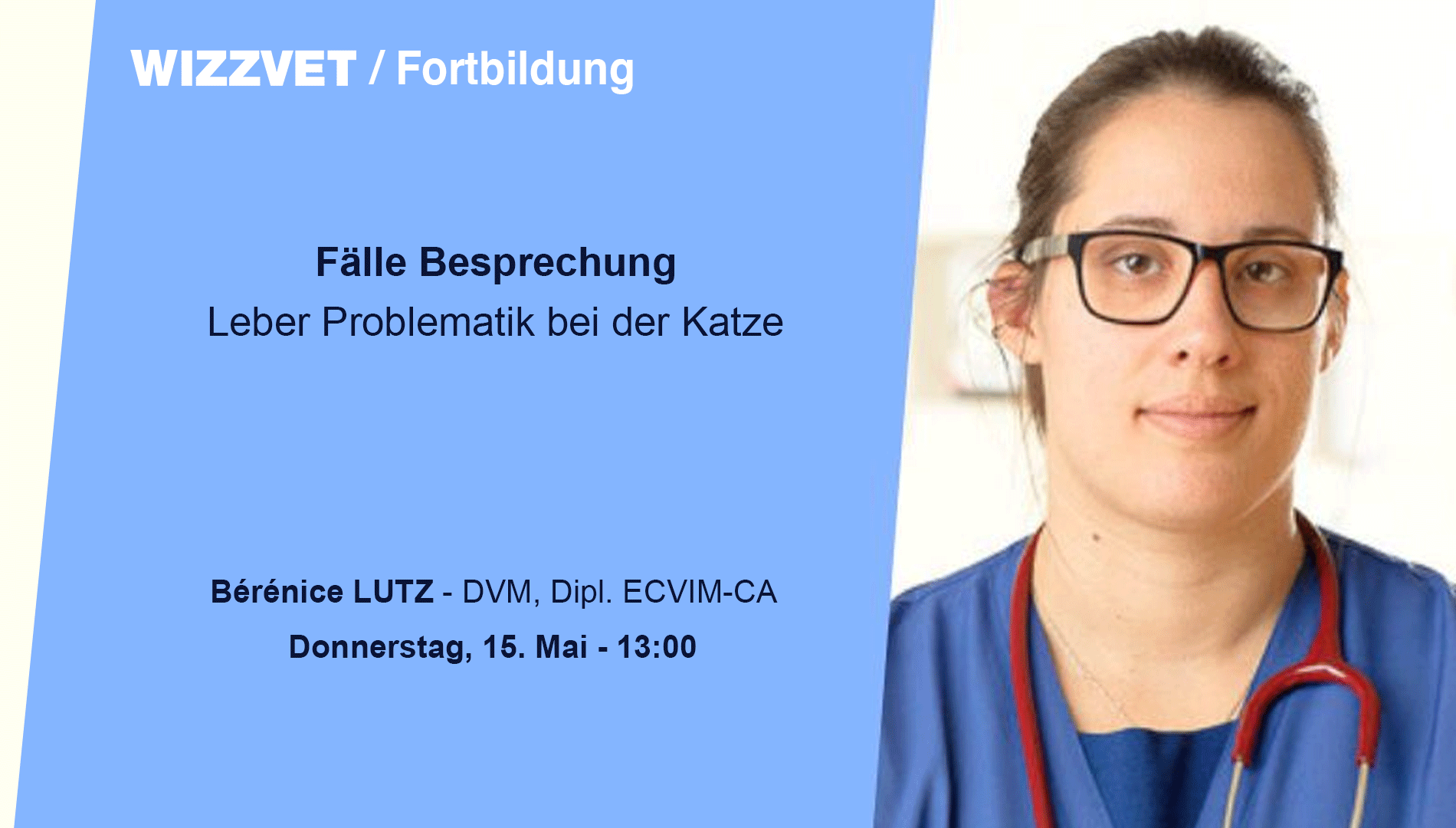 Fälle Besprechung: Leber Problematik bei der Katze
