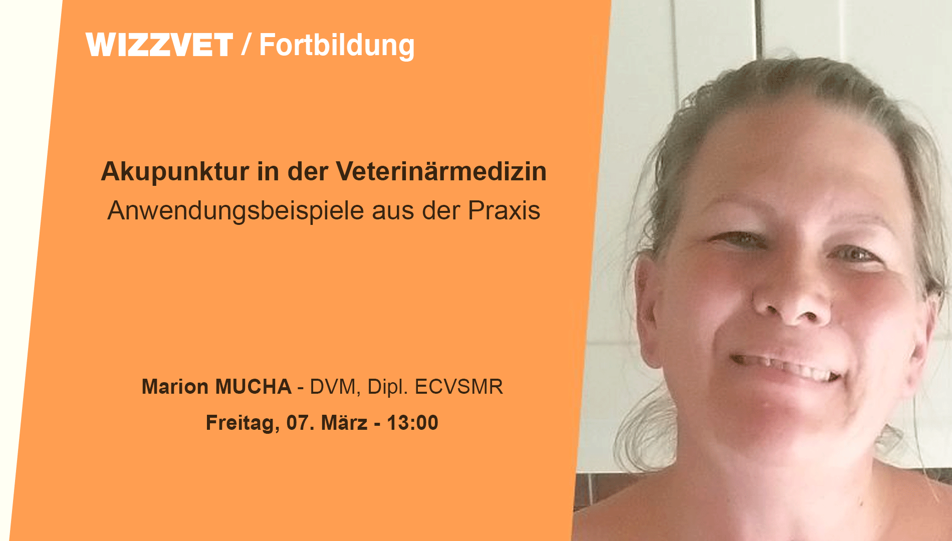 Akupunktur in der Veterinärmedizin – Anwendungsbeispiele aus der Praxis