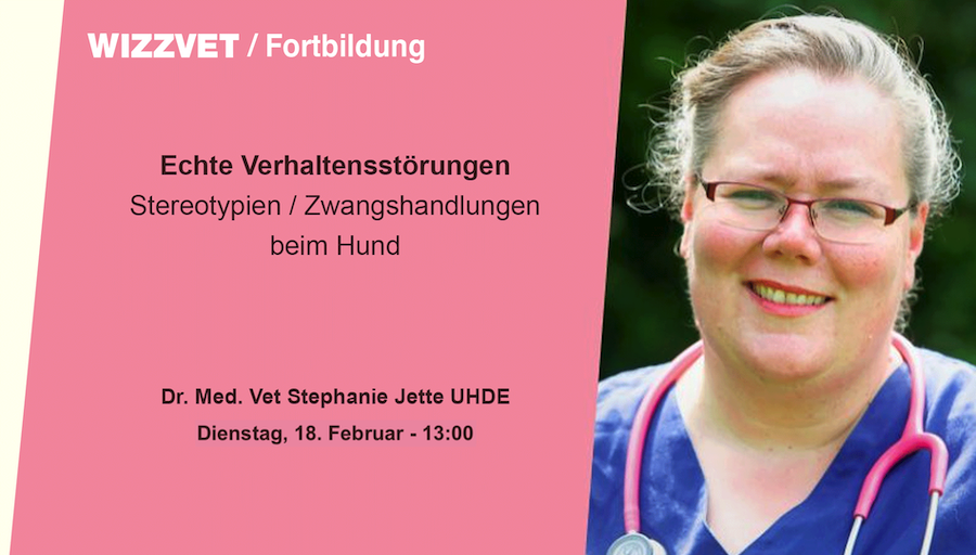 Echte Verhaltensstörungen: Stereotypien/Zwangshandlungen beim Hund