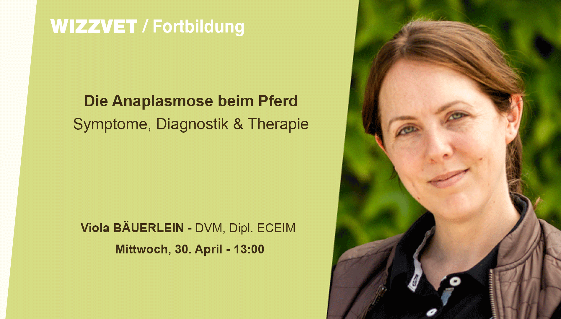 Die Anaplasmose beim Pferd: Symptome, Diagnostik & Therapie.