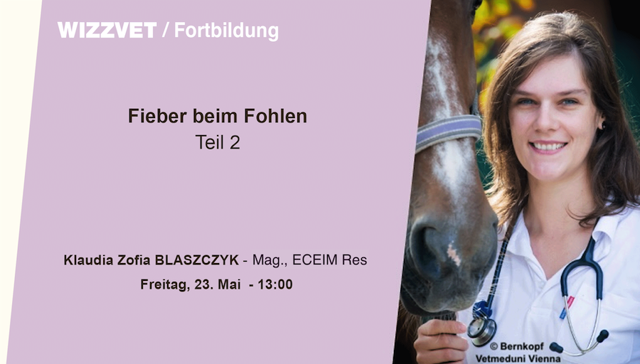 Fieber beim Fohlen - Teil 2