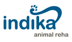 Introduction à la physiothérapie vétérinaire, focus sur le chien sénior