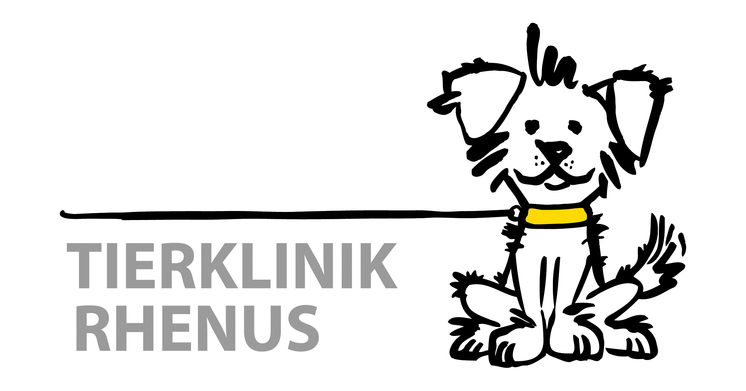 Rhenus-Meeting - Von Praktikern für Praktiker*Innen