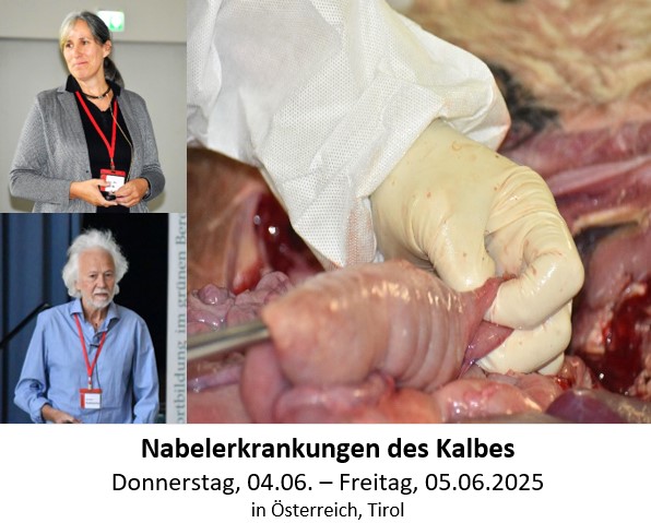 Nabelerkrankungen/Neugeborenendurchfall des Kalbes und Co. & Fälle aus der Rinderpraxis