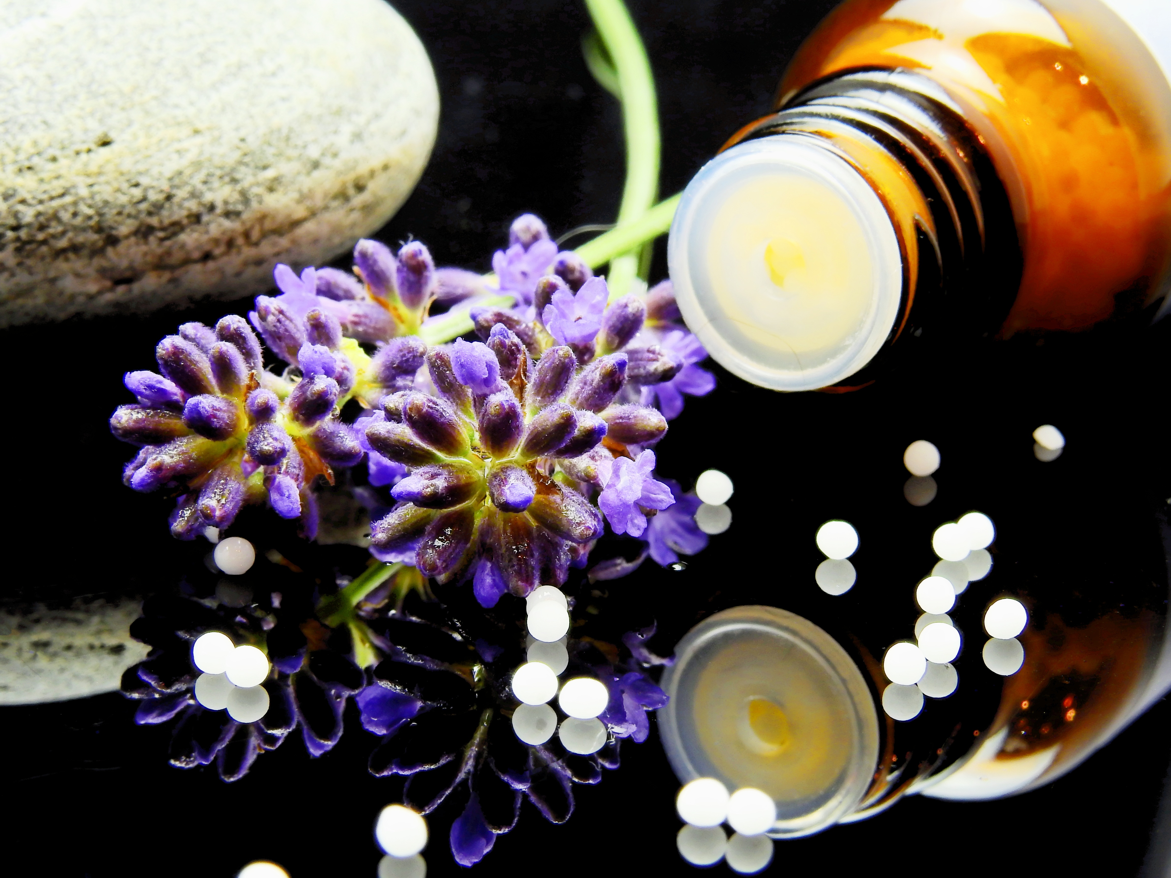 Demi-journée Découverte de l'Homéopathie