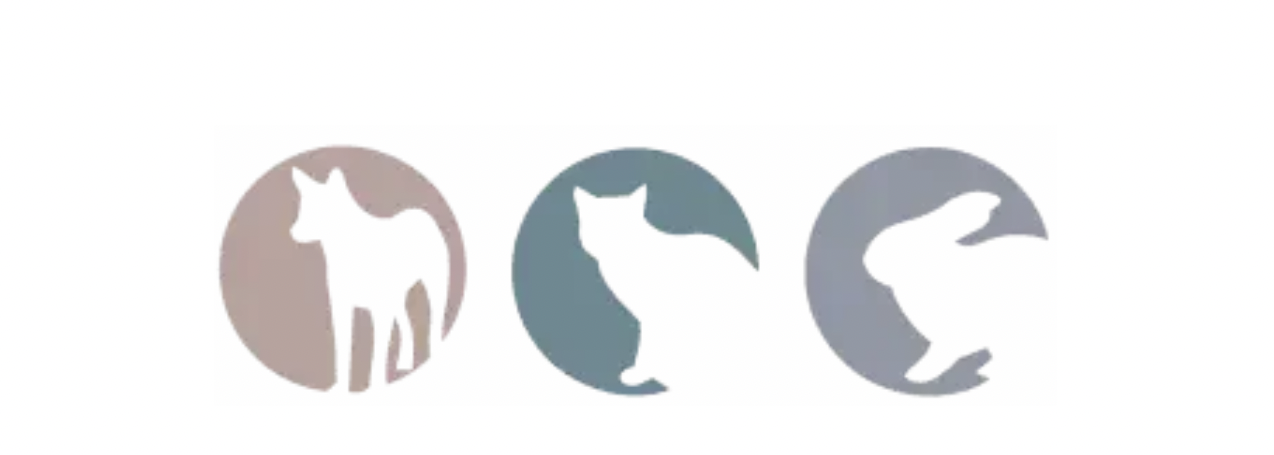 Kleintierpraxis Falkenstein GmbH