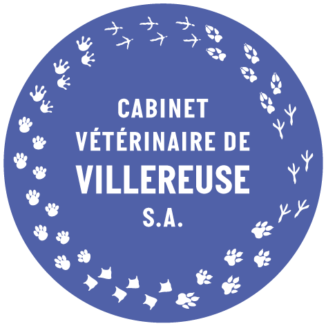 Cabinet vétérinaire de Villereuse SA