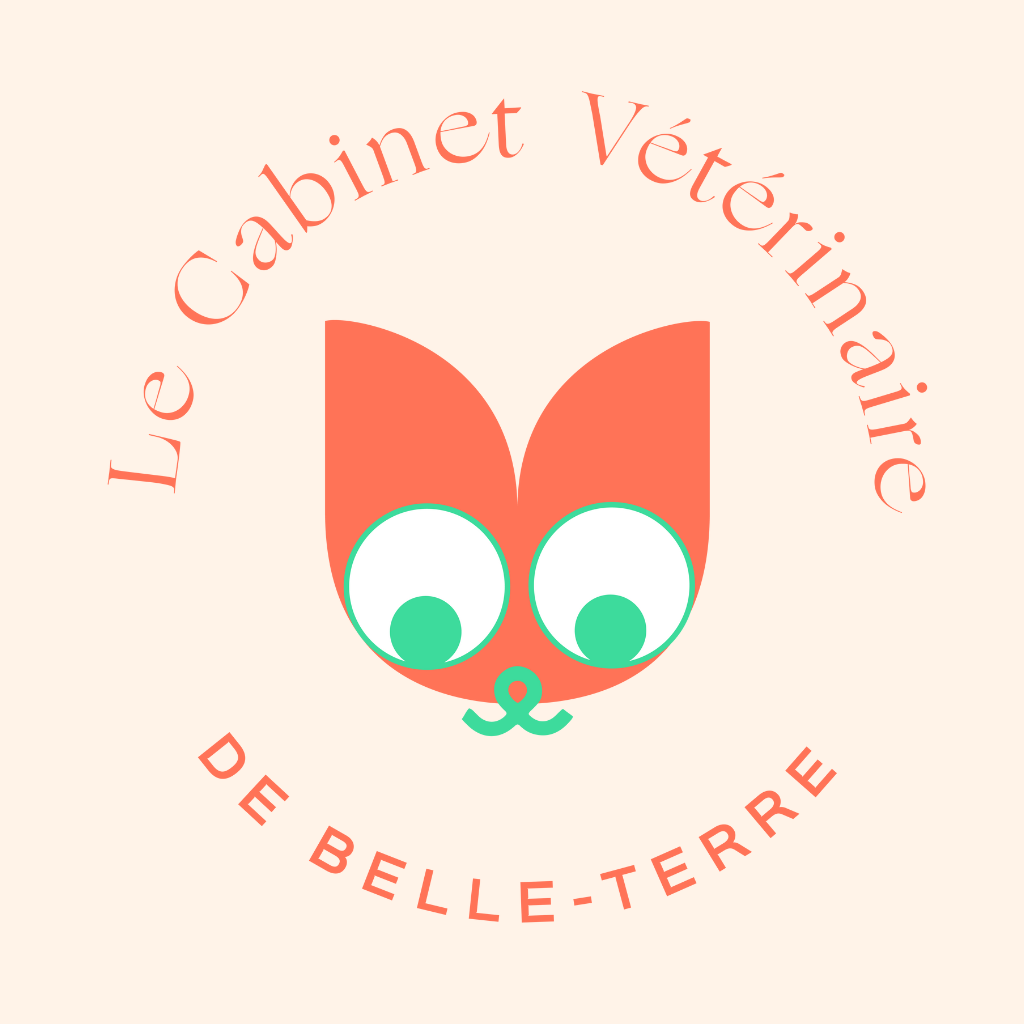 Le Cabinet Vétérinaire de Belle-Terre