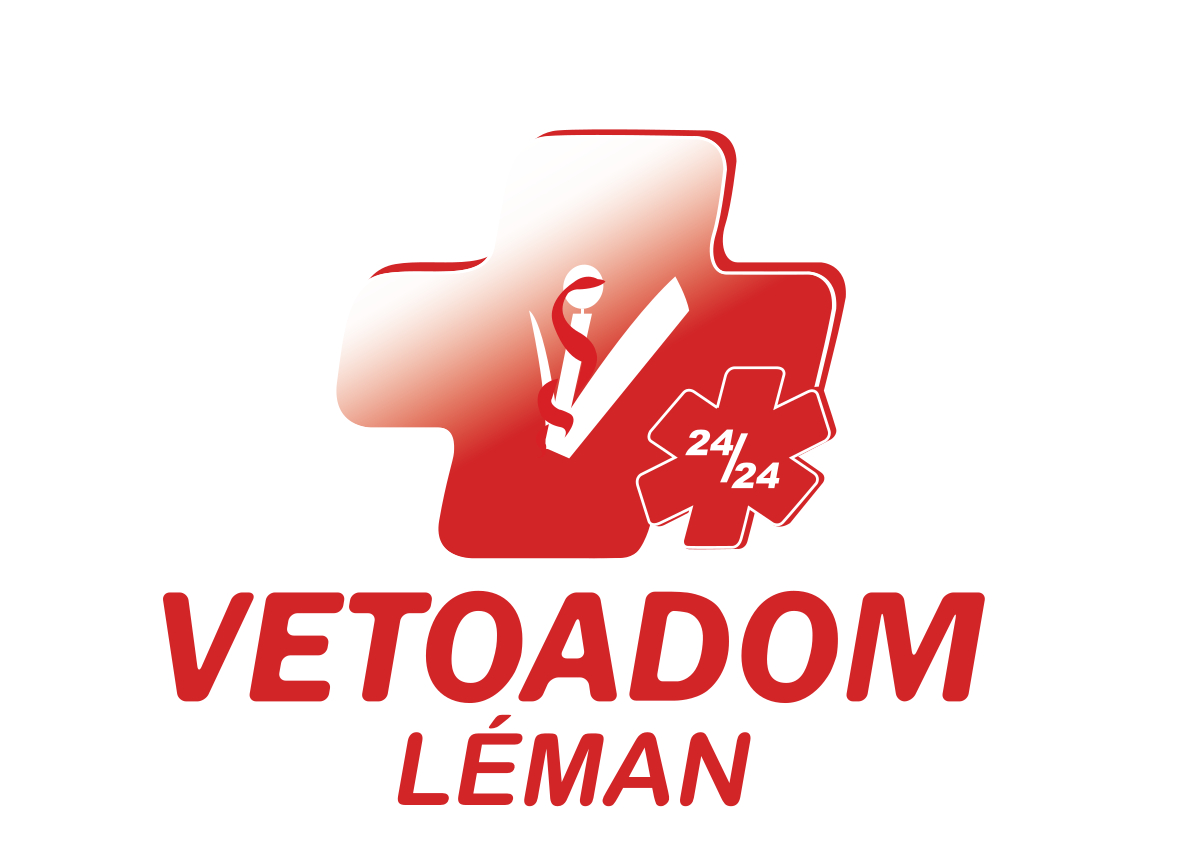 Vetoadom Sàrl