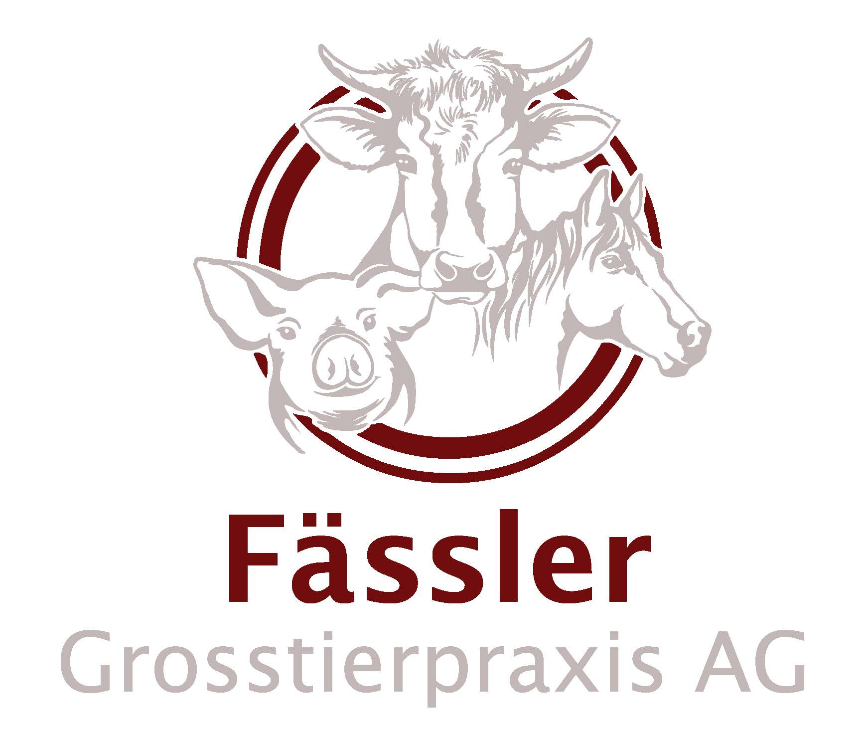 Fässler Grosstierpraxis AG | GST